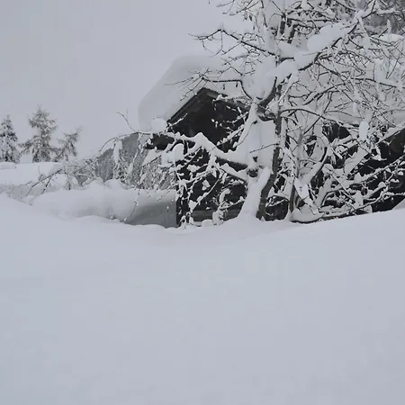 Pitterle Saalbach-Hinterglemm